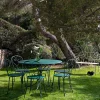 Fermob 1900 bord Ø96 cm Cactus (grön)