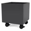 Barn Montana Colour Box I – S6161 Anthracite