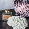 Mette Ditmer Coral gills White