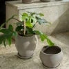 Bergs Potter Delphi kruka med fat 2 delar Grey Ø22 cm tall
