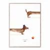 Outlet Paper Collective Doug the Dachshund poster 50x70 cm
