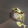 Sale AYTM Globe kruka vägg Ø21 cm Silver