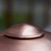 Fritz Hansen HL410 Outdoor fasadbelysning Copper-clear