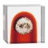 Iittala årskub 2026