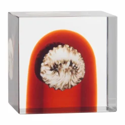 Iittala årskub 2026