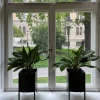 Outlet SMD Design Konvex Pot kruka Svart stor Ø47 cm