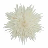 Online Watt & Veke Maja adventsstjärna Ø50 cm White