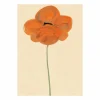 Paper Collective Orange Vallmo poster 50x70 cm