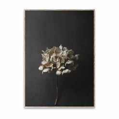 Online Paper Collective Still Life 04 Hydrangea poster 30x40 cm