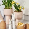 Online DBKD Swedish rabbit large White
