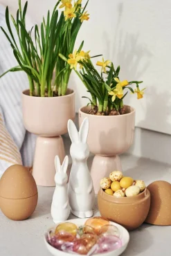 Online DBKD Swedish rabbit large White