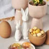 DBKD Swedish rabbit small White