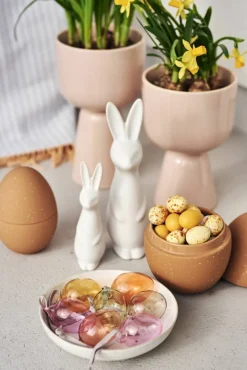 DBKD Swedish rabbit small White