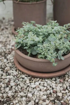 DBKD Terra bowl kruka Brown Ø30x10 5 cm